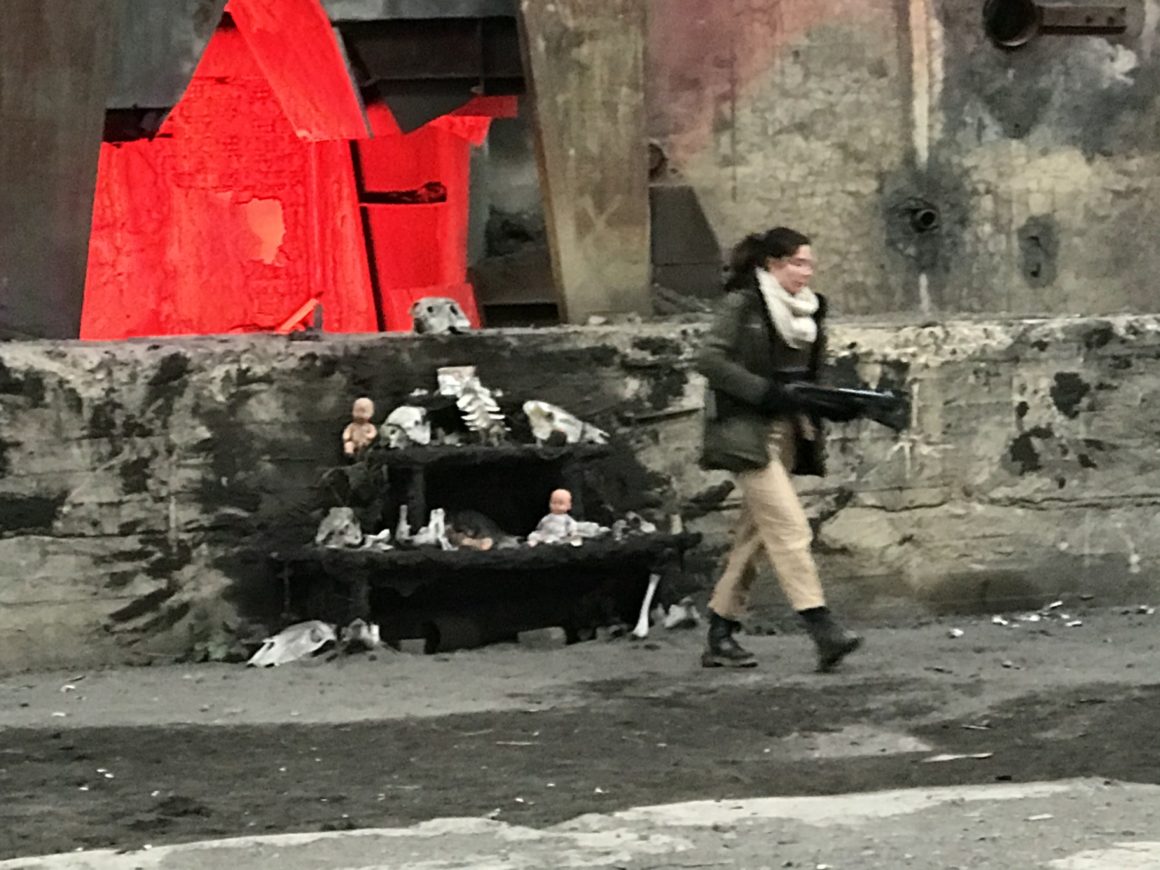 El sueño de los perros